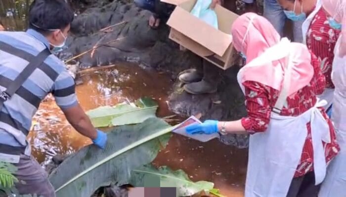 Geger! Warga Pulosari Temukan Mayat Bayi Perempuan di Aliran Sungai Botor