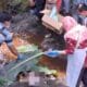 Geger! Warga Pulosari Temukan Mayat Bayi Perempuan di Aliran Sungai Botor