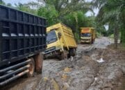 Akses Terhambat! Jalan Rusak Parah di Simpang Gelis Dikeluhkan Warga Berbak dan Rantau Rasau