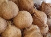 Harga Kelapa Parut hingga Rp 40 Ribu, Pedagang Kecil Menjerit