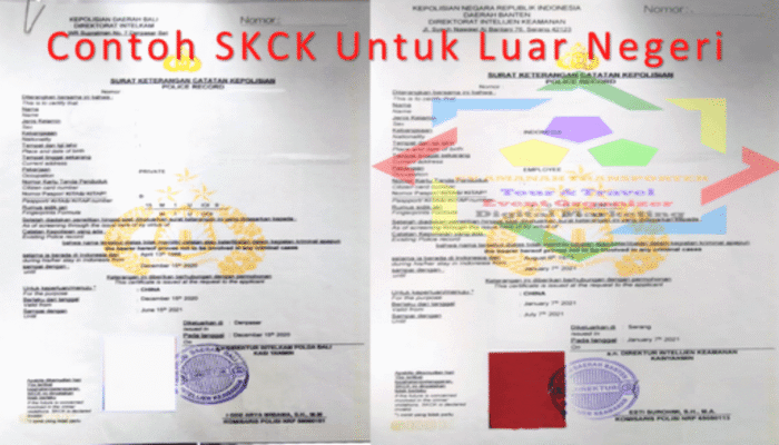 PERINGATAN KERAS UNTUK MANNING AGENCY! SKCK Mabes Polri Kini WAJIB bagi Pelaut & Pekerja Migran yang ke Luar Negeri!