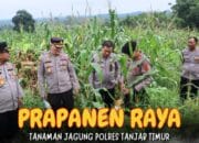 Pastikan Hasil Panen Jagung Maksimal, Tim Gugus Ketahanan Pangan Polres Tanjab Timur Terima Kunjungan Supervisi Dari Polda Jambi*