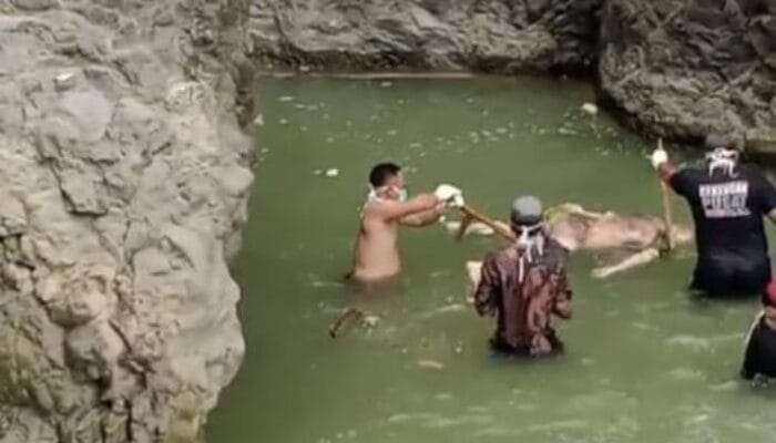 Tragis! Sepekan Hilang, Jasad Pencari Ikan Asal Cikadu Ditemukan di Sungai Polaga
