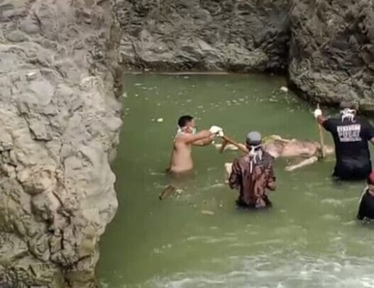 Tragis! Sepekan Hilang, Jasad Pencari Ikan Asal Cikadu Ditemukan di Sungai Polaga