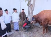 Iduladha 2025: Bupati Pemalang Salurkan Hewan Kurban dan Ajak Masyarakat Guyub Rukun