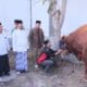Iduladha 2025: Bupati Pemalang Salurkan Hewan Kurban dan Ajak Masyarakat Guyub Rukun