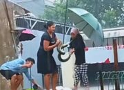 Aksi Emak-Emak Taklukkan Ular Hebohkan Jagat Maya