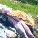 Terkuak! Misteri di Balik Kematian Pasutri di Pemalang yang Jasadnya Ditemukan di Tumpukan Batu