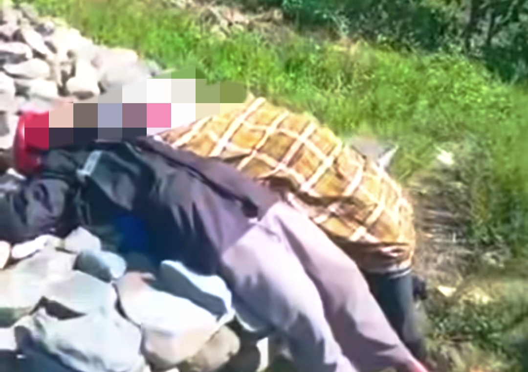 Terkuak! Misteri di Balik Kematian Pasutri di Pemalang yang Jasadnya Ditemukan di Tumpukan Batu