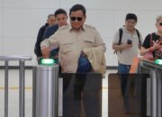 80% Timah RI Disebut Diselundupkan, Prabowo Siapkan Operasi Besar-Besaran