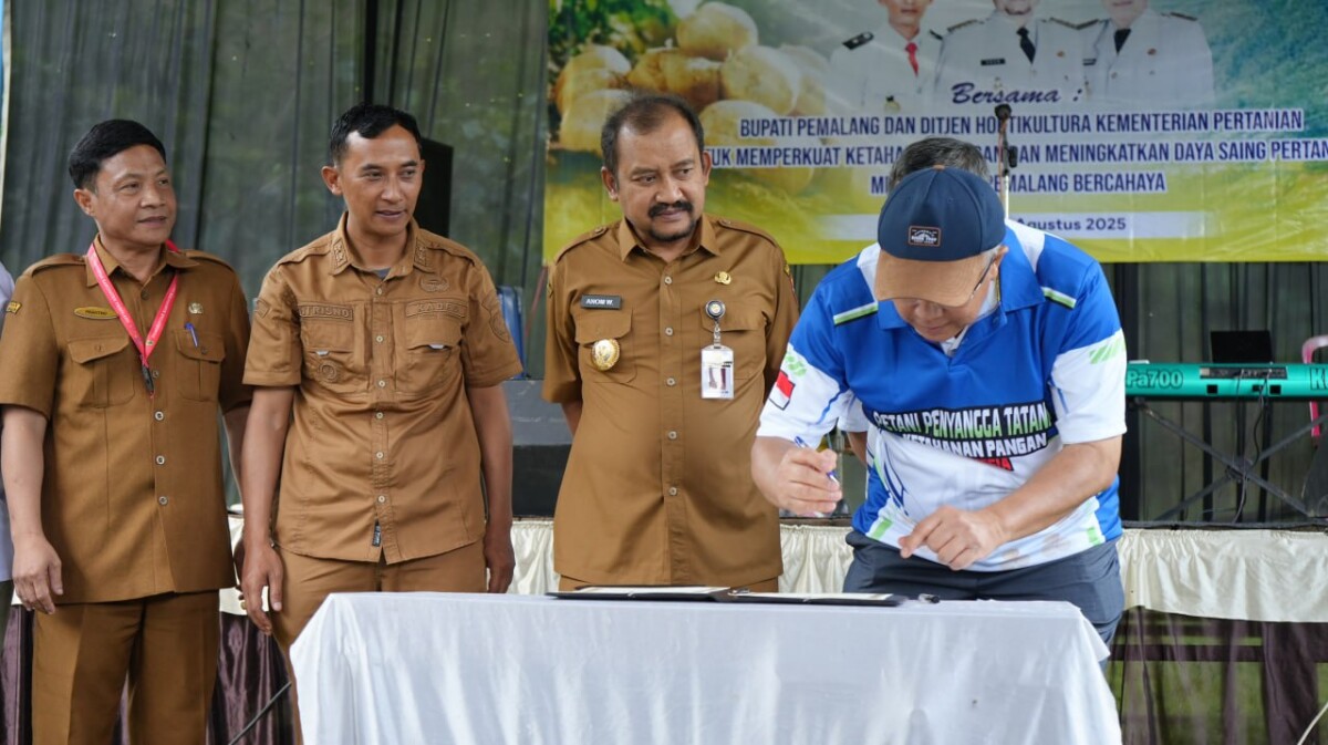 Bupati Anom Yakin Kentang Clekatakan Ungguli Dieng
