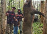 Sniper Perempuan Asal Pemalang kembali Juara 1 Lomba Berburu Nasional BOAR HUNTER COMPETITION 2025