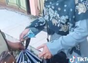 Viral Oknum Diduga Guru Mengambil Sayuran, Ketua Yayasan Beri Klarifikasi