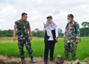 Dandim 0711/Pemalang Tinjau Langsung Proyek Irigasi Tersier di Bodeh: Jamin Dukungan Ketahanan Pangan