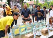 Piala Bupati Pemalang Dorong Semangat Pecinta Ikan Guppy di Seluruh