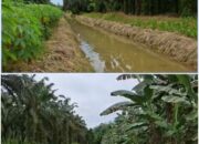 PLT Camat Nipah Panjang dan Kades Sungai Tering beserta Masyarakat Apresiasi Kerja Nyata BWSS VI Jambi