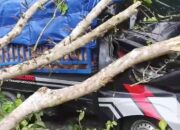 Rentetan Bencana Hantam 5 Provinsi: Korban Jiwa di Sulteng dan 216 Rumah Terdampak Banjir Aceh, BNPB Ingatkan Warga Siaga Penuh