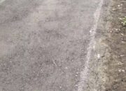 Ada Apa Ini? Desa Tanahbaya Randudongkal: Jalan Rusak Parah Dibiarkan, yang Mulus Malah Diaspal Lagi!