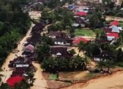 4.500 Hektare Sawah di Sumatra Gagal Panen Akibat Banjir, Kementan Sebut Dampak Nasional Masih Terkendali