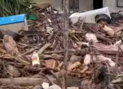 Update Terbaru Korban Banjir Sumatra: 867 Tewas, 521 Hilang