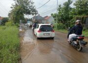 Miris! Jalan Kalijambe–Jenggul Tegal Babak Belur