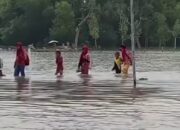 Banjir Rob Kembali Mengintai Pesisir Muara Gembong, Tambak dan Permukiman Terancam Tergenang