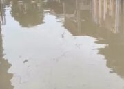 Hujan Berhari-hari Tak Berhenti, Longsor Ancam Permukiman Warga Cikarang Selatan