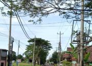 Warga Tunggul Pandean Protes: Tiang Listrik “Tiba-tiba” Berdiri di Lahan Pribadi Tanpa Izin