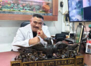 Gugat 25 Media di Sumsel, Pakar Hukum: Sengketa Pers Tak Boleh Dipaksakan ke Ranah PMH