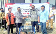Dukung Ekonomi Kerakyatan, Rizal Bawazier Resmikan Program Wirausaha Ternak Ayam di Pemalang