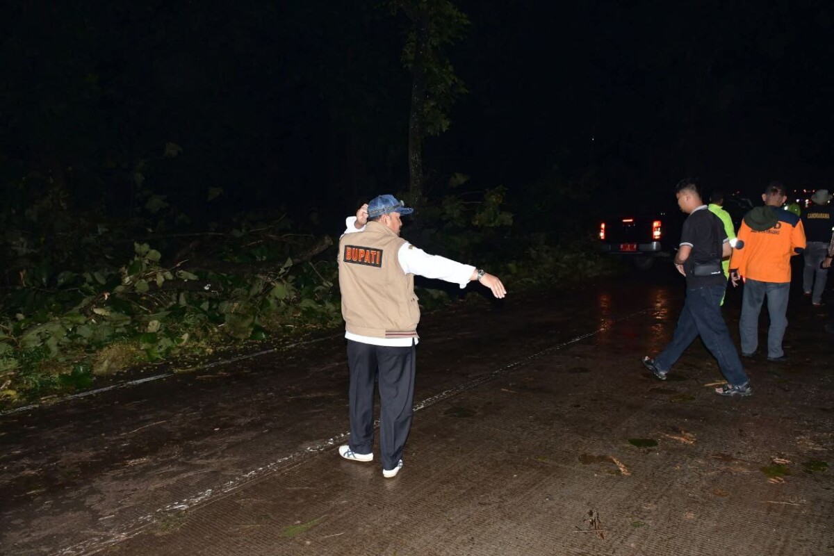 Gercep! Bupati Anom Pastikan Jalur Bantarbolang–Pemalang Pulih Total Usai Diterjang Puting Beliung