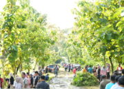 Persiapan Sekolah Rakyat, Bupati dan Jajaran OPD Gencarkan Jumat Bersih di Eks PG Sumberharjo