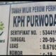 Polemik Uang Tebang Rp378 Juta di KPH Purwodadi: Mandor Tagih Hak, Manajemen Klaim Sudah Lunas