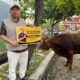 Doni Akbar Serahkan 4 Sapi dan 122 Kambing Kurban untuk Warga Pekalongan, Pemalang, dan Batang