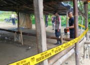 Polres Pemalang Bersama Polsek Comal Gerak Cepat Sikat Arena Judi Sabung Ayam