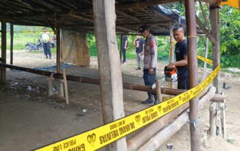 Polres Pemalang Bersama Polsek Comal Gerak Cepat Sikat Arena Judi Sabung Ayam