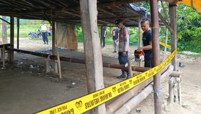 Polres Pemalang Bersama Polsek Comal Gerak Cepat Sikat Arena Judi Sabung Ayam