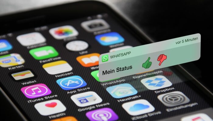 Memori HP Cepat Penuh? Cek Fitur WhatsApp yang Harus Dimatikan