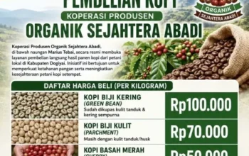 Dorong Kesejahteraan Petani, Koperasi Organik Sejahtera Abadi Tetapkan Harga Kopi Hingga Rp100 Ribu/Kg