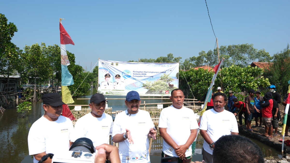 Hari Lingkungan Hidup 2026, Pemkab Pemalang Tanam 3.000 Mangrove di Ulujami
