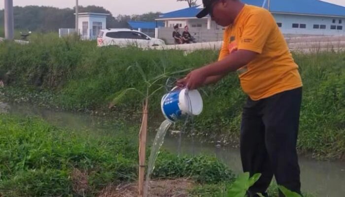 Jaga Kelestarian Lingkungan, Camat Comal Pimpin Langsung Monitoring Pemeliharaan Pohon di Kawasan Stadion Jatidiri