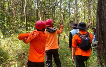 Tim SAR Gabungan Lakukan Pencarian Seorang Warga Diduga Hilang di Hutan Nambo Girang Cilacap