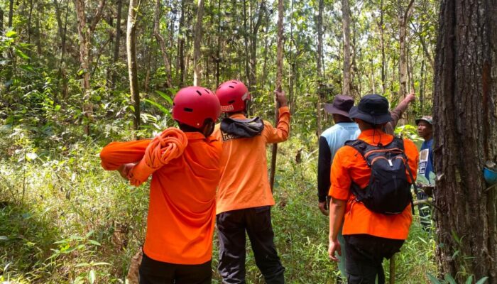 Tim SAR Gabungan Lakukan Pencarian Seorang Warga Diduga Hilang di Hutan Nambo Girang Cilacap