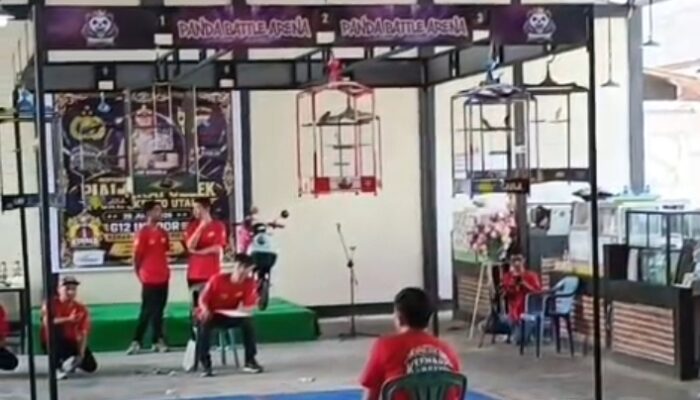 Kicau Mania Meriahkan Kenari Konser Series G12 Piala Kapolsek Purwokerto Utara