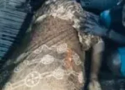 BREAKING NEWS: Seorang Ibu Hamil Dilaporkan Tewas dalam Insiden Penembakan di Sugapa