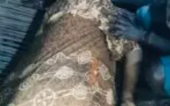 BREAKING NEWS: Seorang Ibu Hamil Dilaporkan Tewas dalam Insiden Penembakan di Sugapa