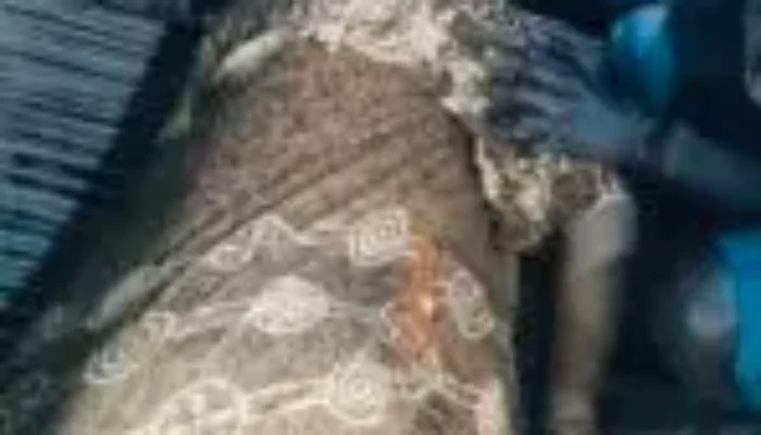 BREAKING NEWS: Seorang Ibu Hamil Dilaporkan Tewas dalam Insiden Penembakan di Sugapa