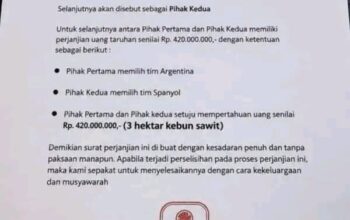 Viral Taruhan Final Piala Dunia 2026 Senilai Rp420 Juta, Kebun Sawit 3 Hektar Jadi Jaminan