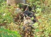 Misteri Penemuan Kerangka Berpakaian di KM 306 Tol Sewaka