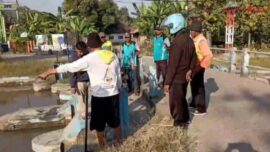 Sinergi DPUPR Pemalang dan Petani Kawal Pasokan Air Irigasi di Empat Wilayah